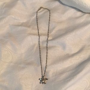 turtle necklace